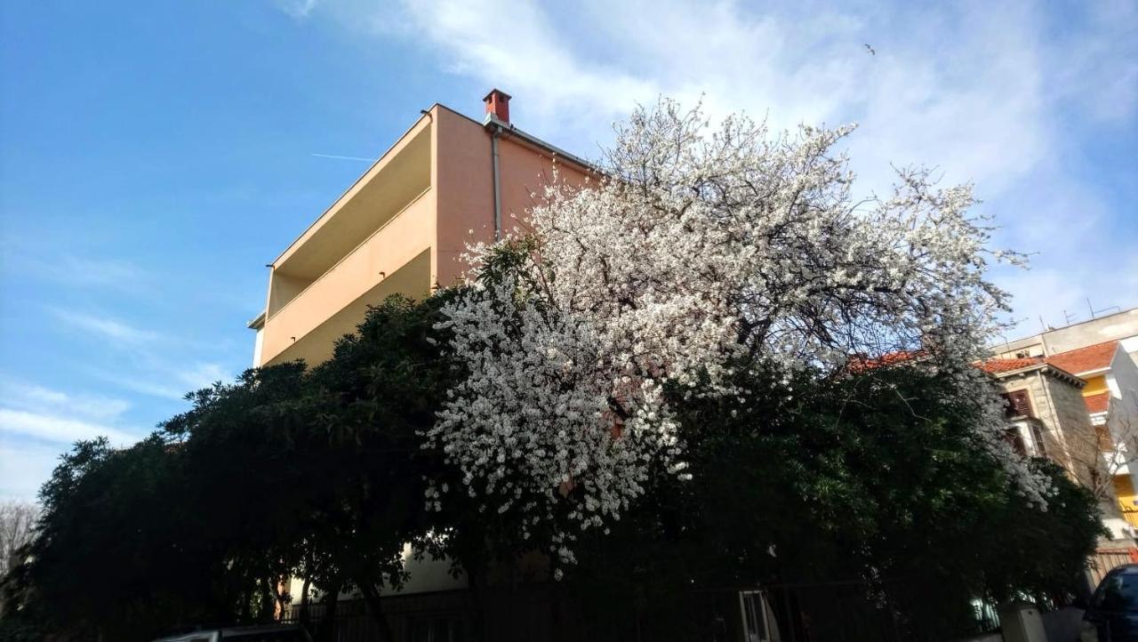 Split Symphony Veranda: Modern, New Apartment Екстериор снимка