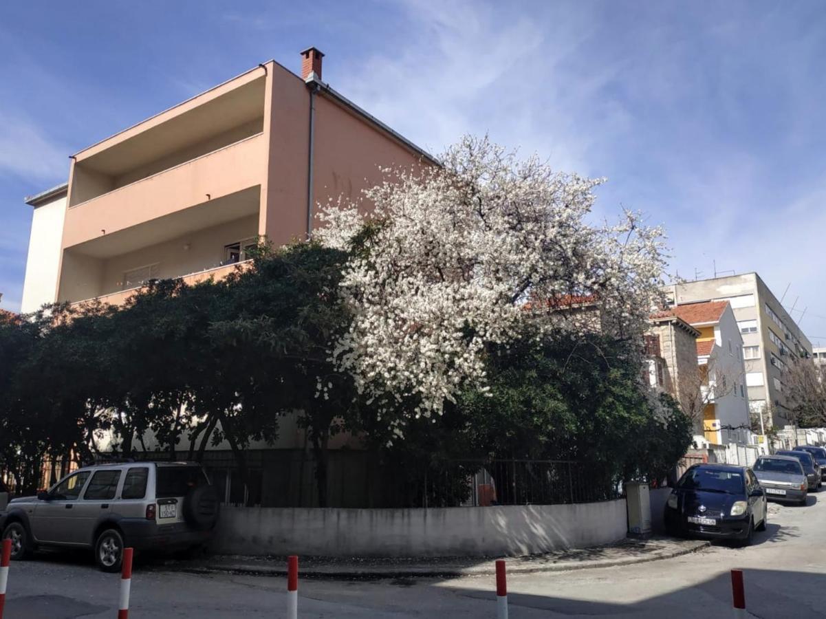 Split Symphony Veranda: Modern, New Apartment Екстериор снимка